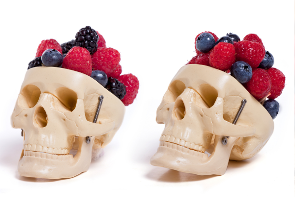 Brain Health through berries