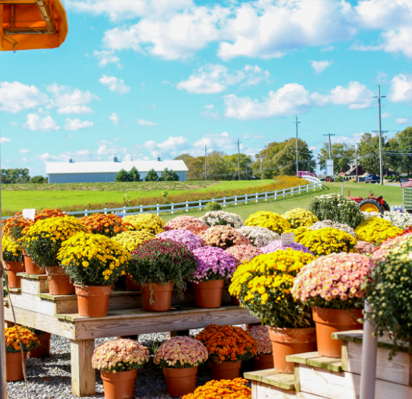 Farmers Market with Flowers