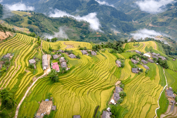 Banaue Rice Terraces