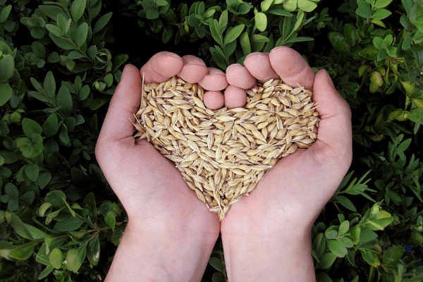 National Grain Free Day Splash Image