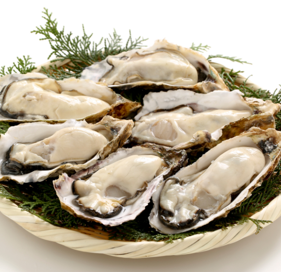 Raw Oyster Dish