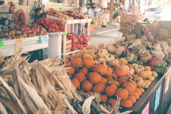 Seasonal Farmers Market