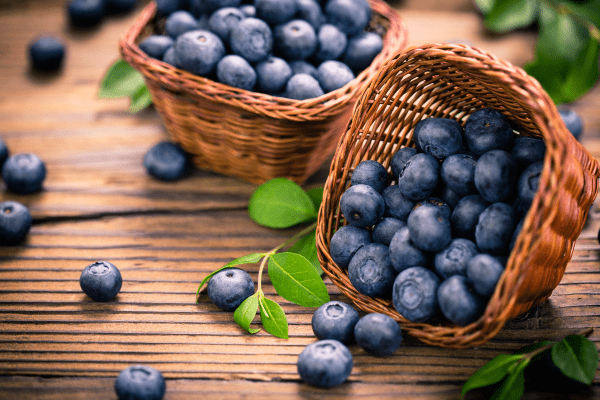 Baskets of Blueberries