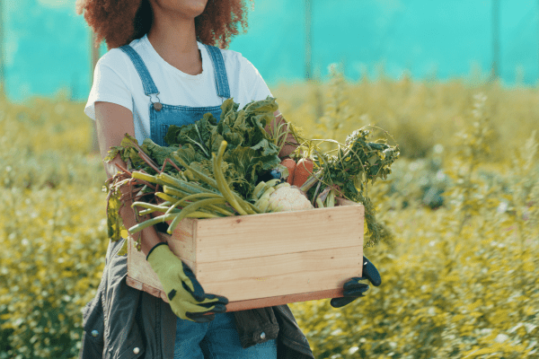 Farmer Hauling in Produce