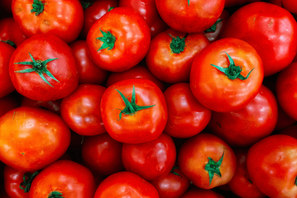 Bunch of Tomatoes