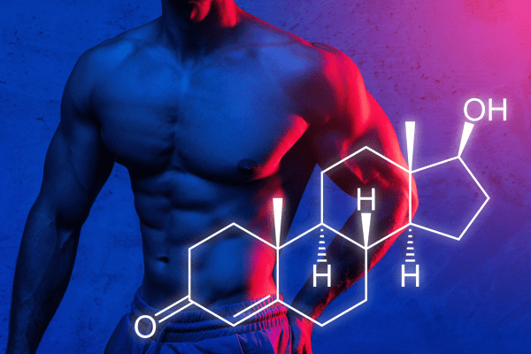 Testosterone Chemical Formula