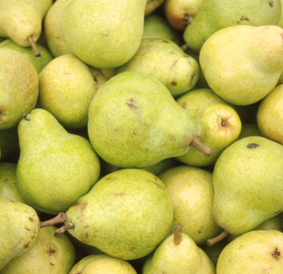 Pear pile