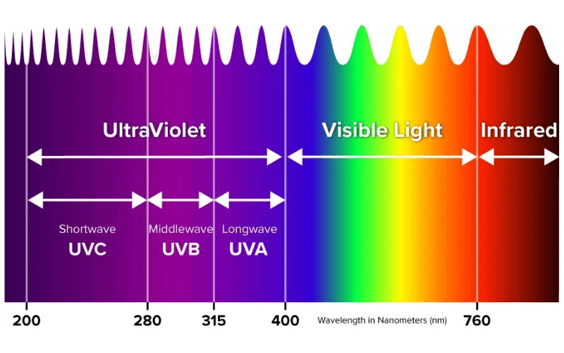 UV Wavelength